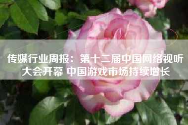传媒行业周报：第十二届中国网络视听大会开幕 中国游戏市场持续增长