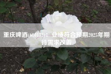重庆啤酒(600132)：业绩符合预期2025年期待需求改善