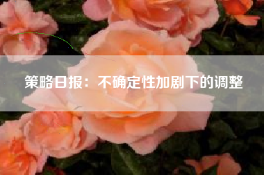 策略日报：不确定性加剧下的调整