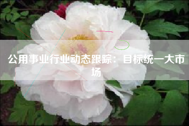 公用事业行业动态跟踪：目标统一大市场