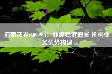 招商证券(600999)：业绩稳健增长 机构业务优势构建