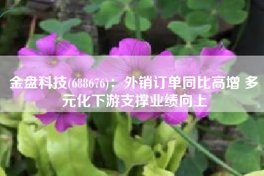 金盘科技(688676)：外销订单同比高增 多元化下游支撑业绩向上