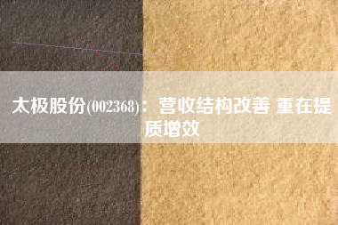 太极股份(002368)：营收结构改善 重在提质增效