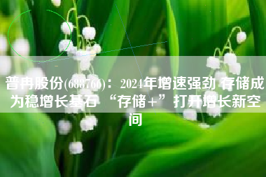 普冉股份(688766)：2024年增速强劲 存储成为稳增长基石 “存储+”打开增长新空间