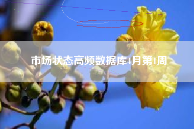 市场状态高频数据库4月第1周