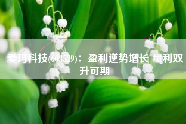 爱玛科技(603529)：盈利逆势增长 量利双升可期