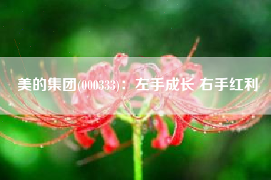 美的集团(000333)：左手成长 右手红利