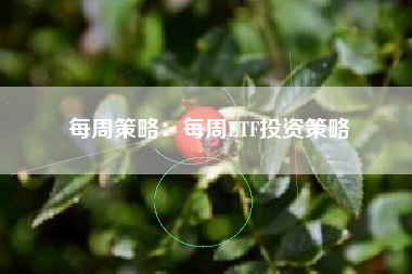 每周策略：每周ETF投资策略