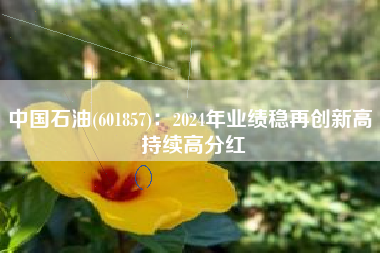 中国石油(601857)：2024年业绩稳再创新高 持续高分红