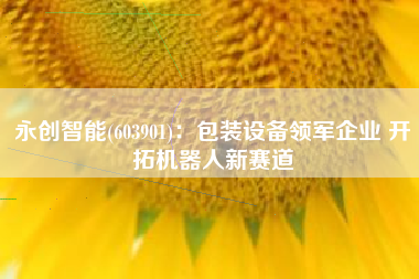 永创智能(603901)：包装设备领军企业 开拓机器人新赛道