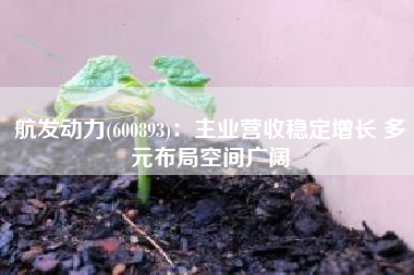 航发动力(600893)：主业营收稳定增长 多元布局空间广阔