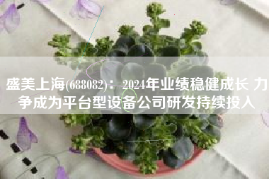 盛美上海(688082)：2024年业绩稳健成长 力争成为平台型设备公司研发持续投入