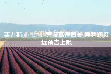 赛力斯(601127)：营收高速增长 净利润接近预告上限
