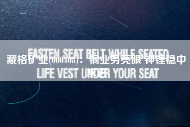 藏格矿业(000408)：铜业务亮眼 钾锂稳中求进