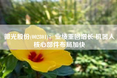 微光股份(002801)：业绩重回增长 机器人核心部件布局加快