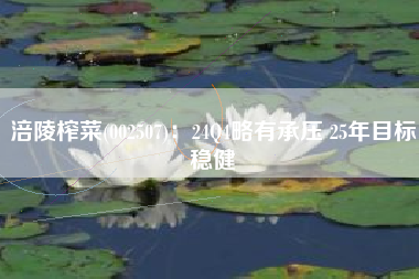 涪陵榨菜(002507)：24Q4略有承压 25年目标稳健