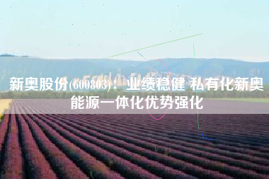 新奥股份(600803)：业绩稳健 私有化新奥能源一体化优势强化