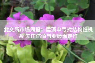 北交所市场周报：震荡中寻找结构性机会 关注估值与业绩确定性