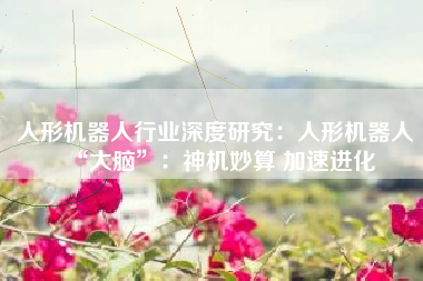 人形机器人行业深度研究：人形机器人“大脑”：神机妙算 加速进化