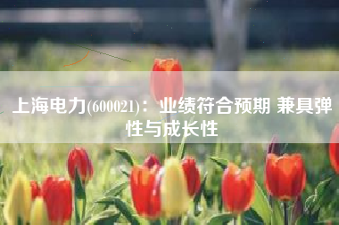 上海电力(600021)：业绩符合预期 兼具弹性与成长性