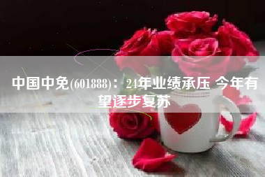 中国中免(601888)：24年业绩承压 今年有望逐步复苏