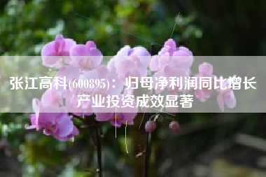 张江高科(600895)：归母净利润同比增长 产业投资成效显著