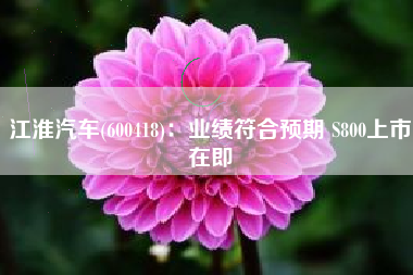 江淮汽车(600418)：业绩符合预期 S800上市在即