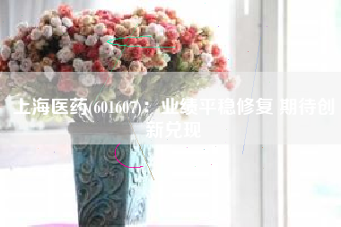 上海医药(601607)：业绩平稳修复 期待创新兑现