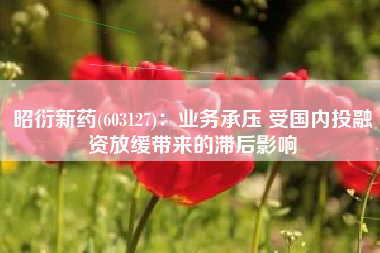 昭衍新药(603127)：业务承压 受国内投融资放缓带来的滞后影响