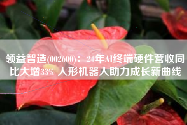 领益智造(002600)：24年AI终端硬件营收同比大增33% 人形机器人助力成长新曲线