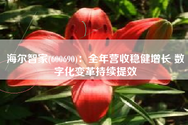 海尔智家(600690)：全年营收稳健增长 数字化变革持续提效