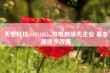 天奈科技(688116)：导电剂领先企业 基本面逐步改善