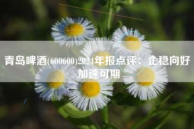 青岛啤酒(600600)2024年报点评：企稳向好 加速可期