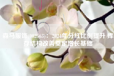 森马服饰(002563)：2024年分红比例提升 库存结构改善奠定增长基础