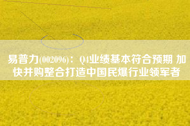 易普力(002096)：Q4业绩基本符合预期 加快并购整合打造中国民爆行业领军者