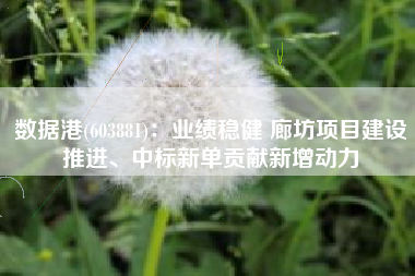 数据港(603881)：业绩稳健 廊坊项目建设推进、中标新单贡献新增动力