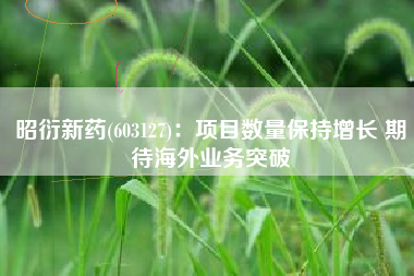 昭衍新药(603127)：项目数量保持增长 期待海外业务突破