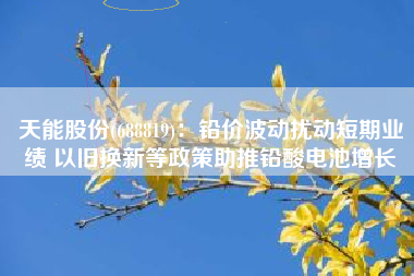 天能股份(688819)：铅价波动扰动短期业绩 以旧换新等政策助推铅酸电池增长