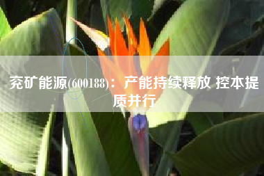 兖矿能源(600188)：产能持续释放 控本提质并行