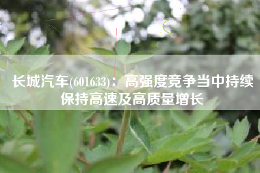 长城汽车(601633)：高强度竞争当中持续保持高速及高质量增长