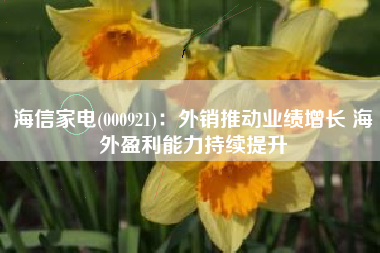 海信家电(000921)：外销推动业绩增长 海外盈利能力持续提升