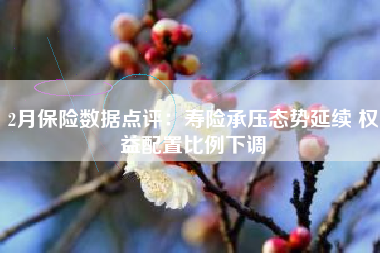 2月保险数据点评：寿险承压态势延续 权益配置比例下调