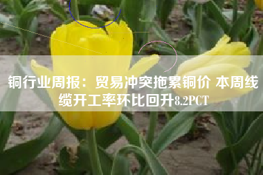 铜行业周报：贸易冲突拖累铜价 本周线缆开工率环比回升8.2PCT