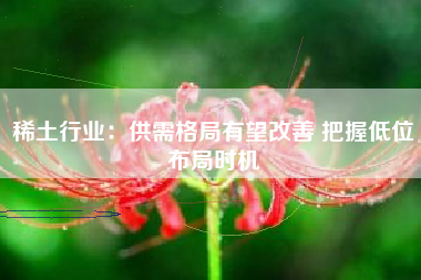 稀土行业：供需格局有望改善 把握低位布局时机