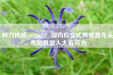 柯力传感(603662)：国内应变式传感器龙头 布局机器人大有可为
