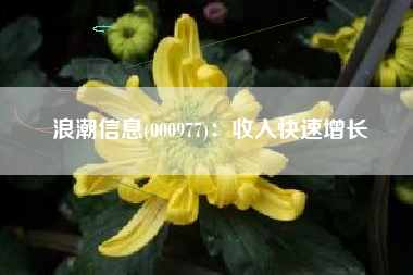 浪潮信息(000977)：收入快速增长