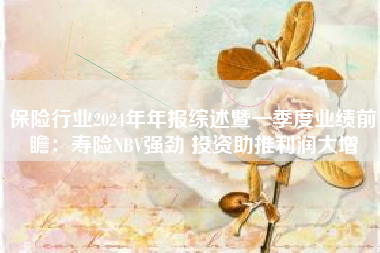 保险行业2024年年报综述暨一季度业绩前瞻：寿险NBV强劲 投资助推利润大增