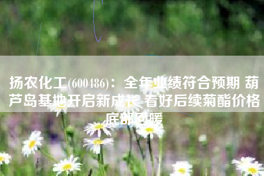 扬农化工(600486)：全年业绩符合预期 葫芦岛基地开启新成长 看好后续菊酯价格底部回暖