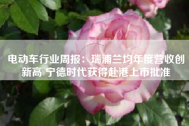 电动车行业周报：瑞浦兰均年度营收创新高 宁德时代获得赴港上市批准