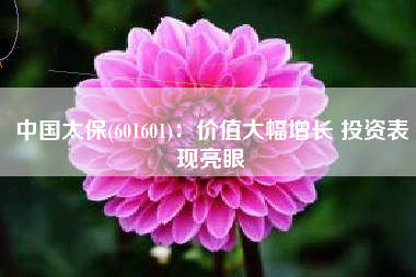 中国太保(601601)：价值大幅增长 投资表现亮眼